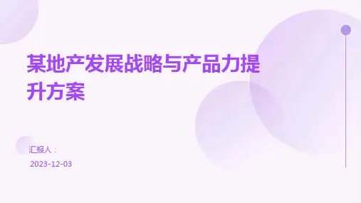 某地产发展战略与产品力提升方案