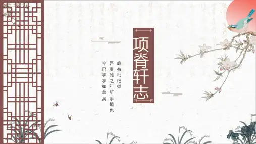 项脊轩志PPT优秀课件[统编版]