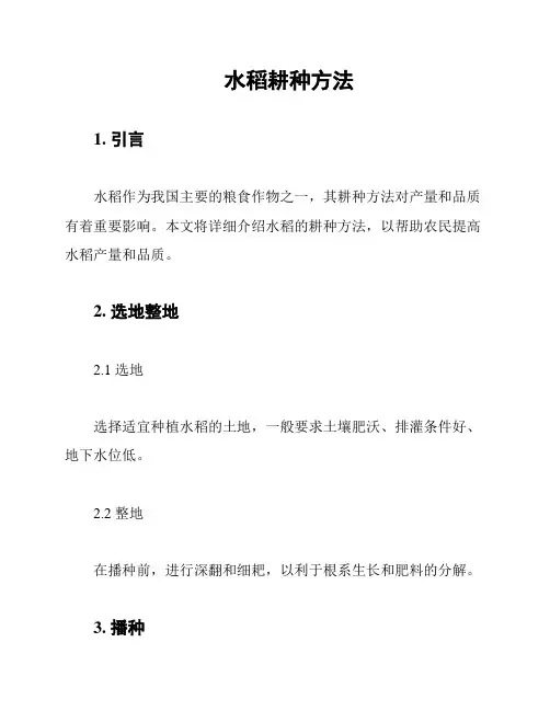 水稻耕种方法