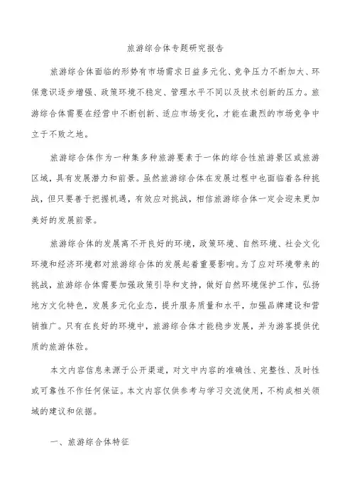 旅游综合体专题研究报告