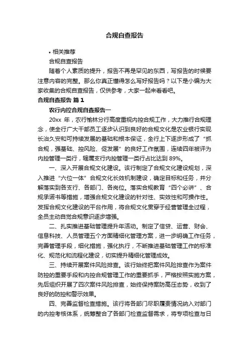 合规自查报告