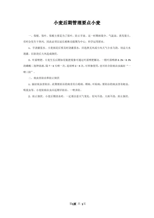 小麦后期管理要点小麦