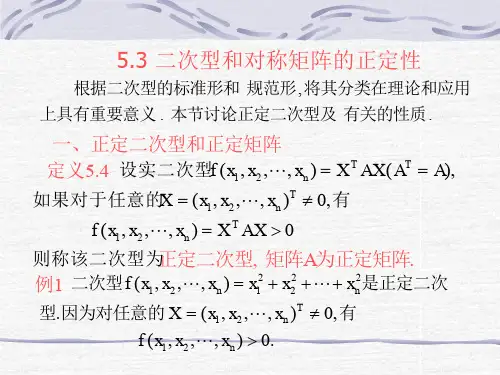 3二次型和对称矩阵的正定性.ppt