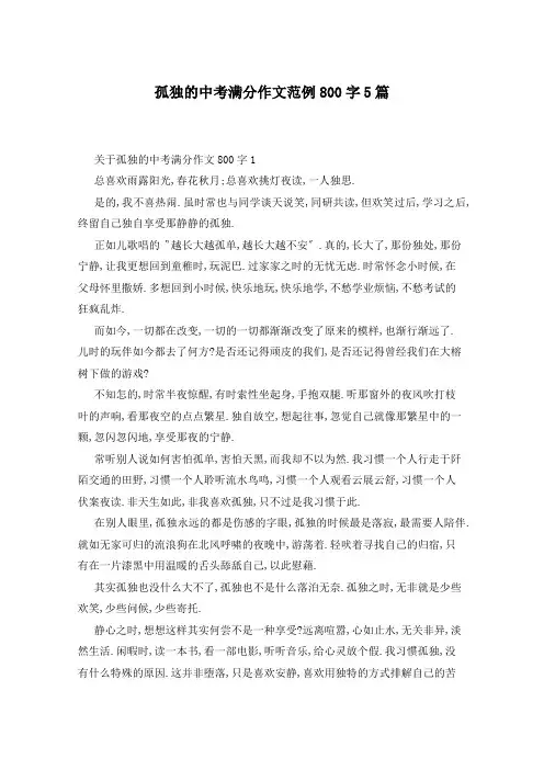 孤独的中考满分作文范例800字5篇