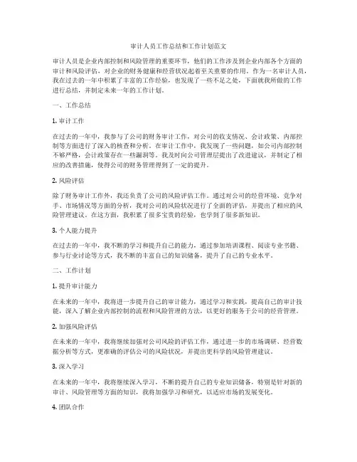 审计人员工作总结和工作计划范文