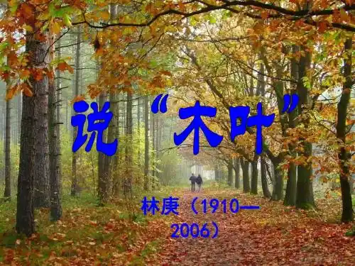 【精品】《说木叶》优秀课件.ppt