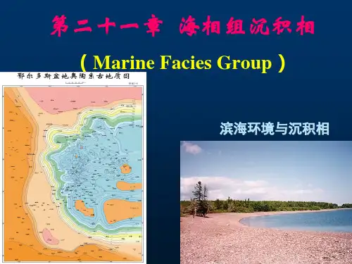 海相组沉积相公开课一等奖课件省赛课获奖课件