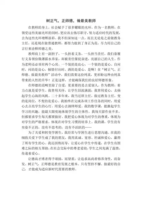 树正气,正师德,做最美教师