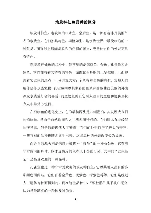 埃及神仙鱼品种的区分