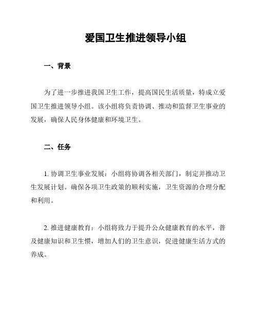 爱国卫生推进领导小组