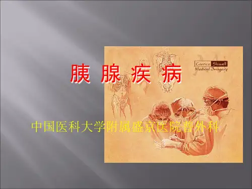 胰腺疾病-PPT课件