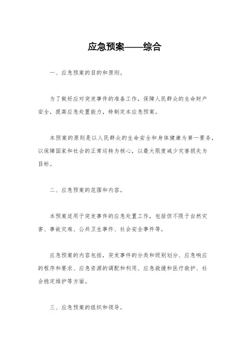 应急预案——综合