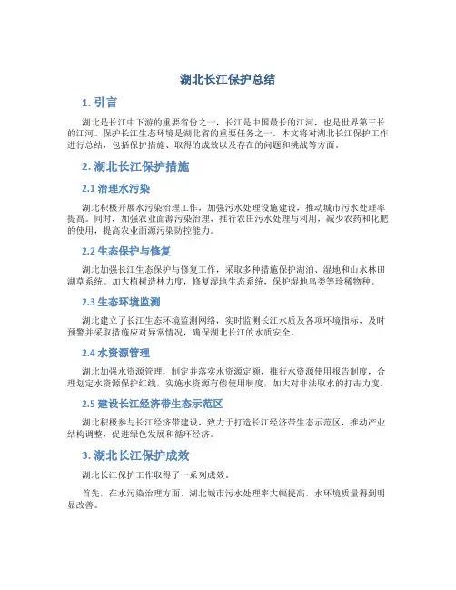 湖北长江保护总结