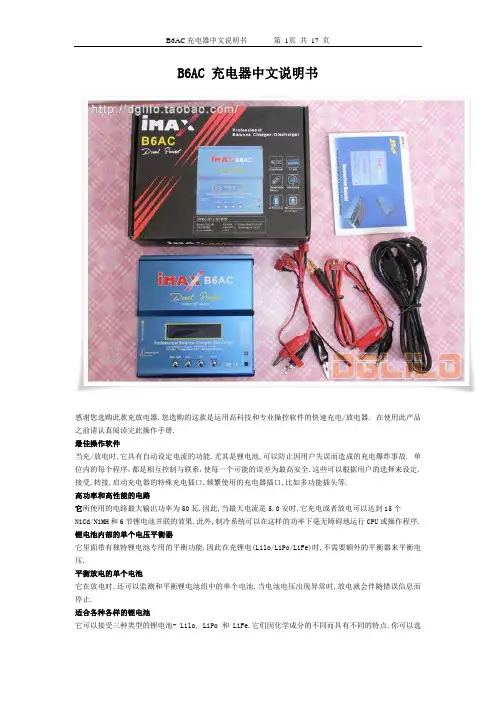 B6 平衡充 中文说明书