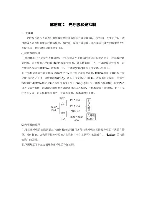 2024届高考一轮复习生物练习(人教版)第三单元细胞的能量供应和应用解惑练2光呼吸和光抑制