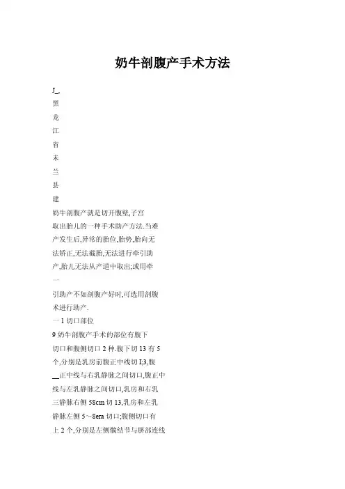 奶牛剖腹产手术方法