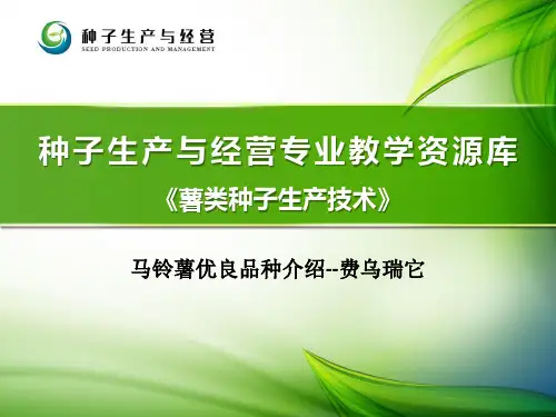 马铃薯优良品种介绍--费乌瑞它-7