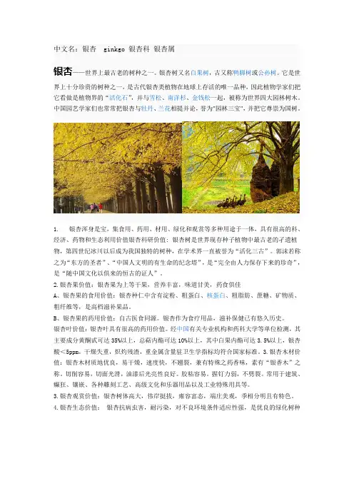 园林水保植物名称和图片