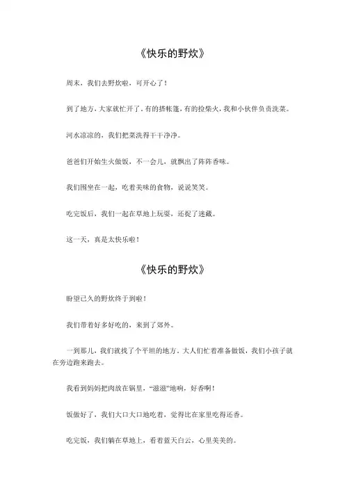 二年级快乐的野炊作文