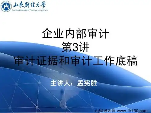 企业内部审计讲义3