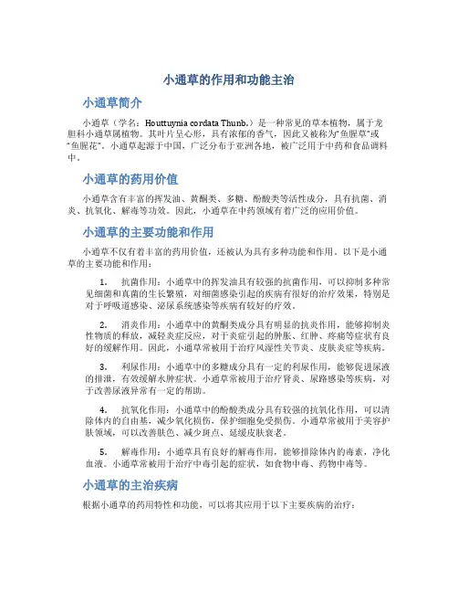 小通草的作用和功能主治