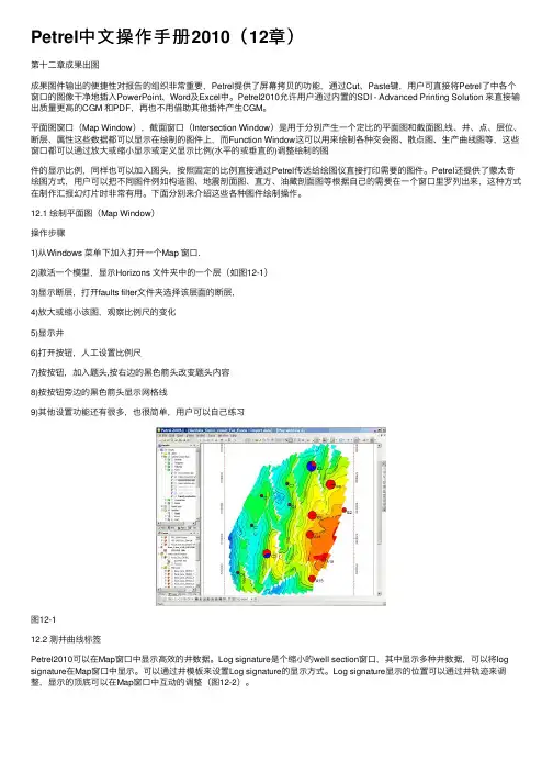 Petrel中文操作手册2010（12章）