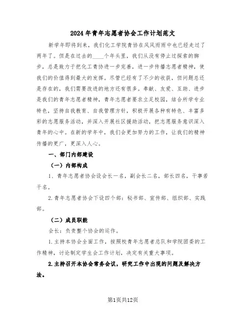 2024年青年志愿者协会工作计划范文(4篇)