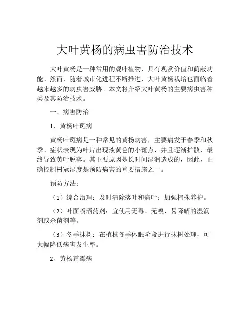 大叶黄杨的病虫害防治技术