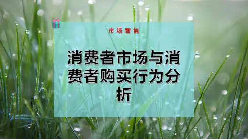 消费者市场与消费者购买行为分析PPT模板