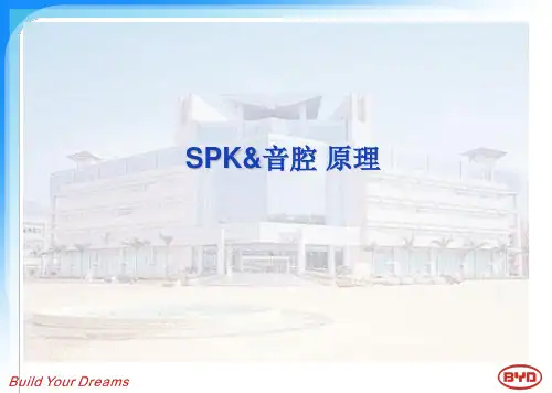 有关喇叭的音腔的设计规范标准[详]