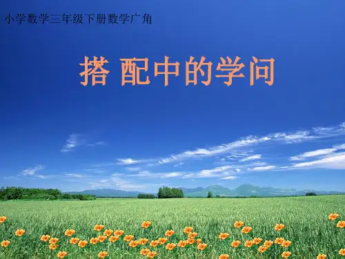 人教版三年级下册数学课件-数学广角--搭配 (21)(共16张PPT)