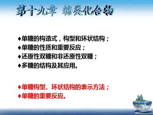 有机化学   糖类