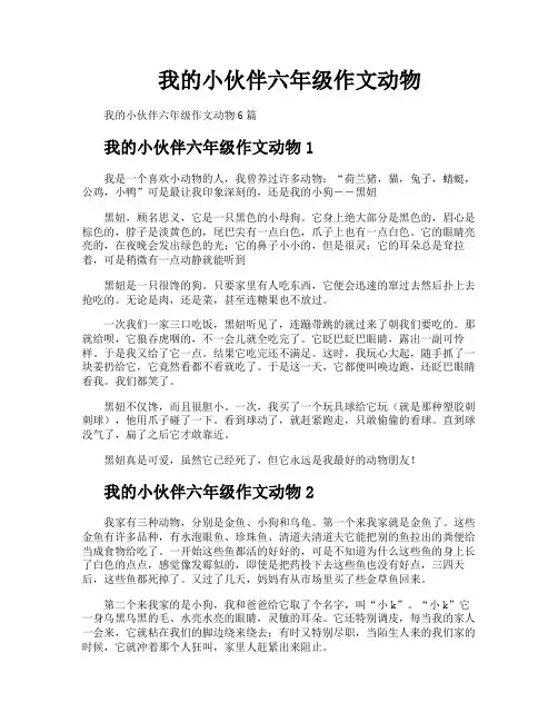 我的小伙伴六年级作文动物