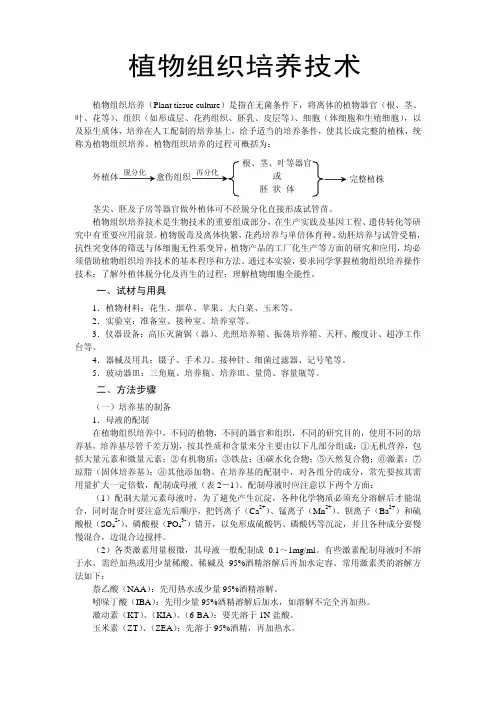 植物组织培养技术