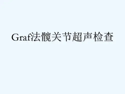 Graf法髋关节超声检查 PPT
