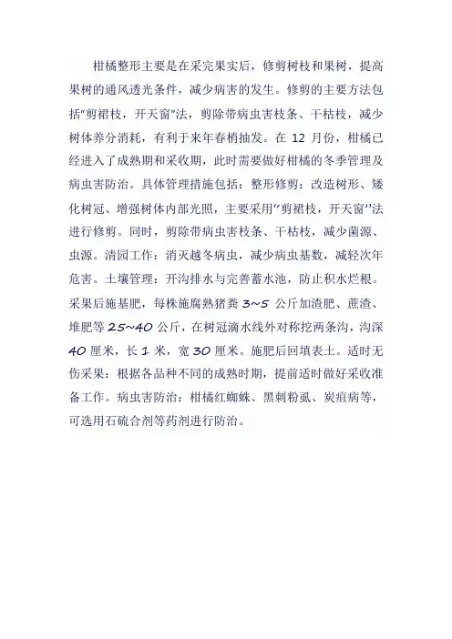 柑橘整形与12月栽培管理