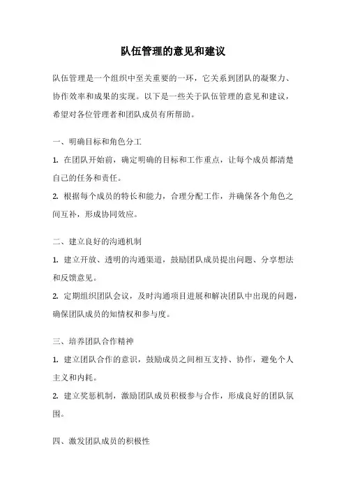 队伍管理的意见和建议