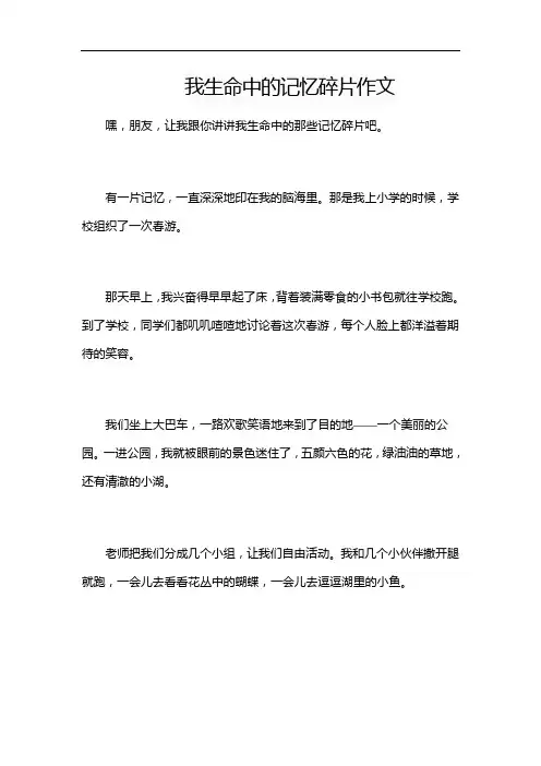 我生命中的记忆碎片作文