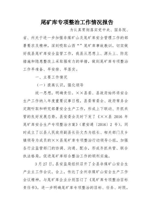 尾矿库专项整治工作情况报告