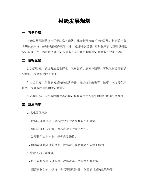 村级发展规划