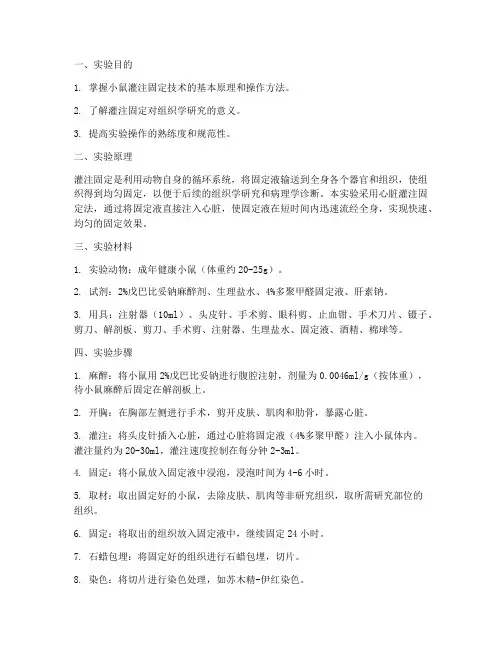 小鼠灌注固定实验报告
