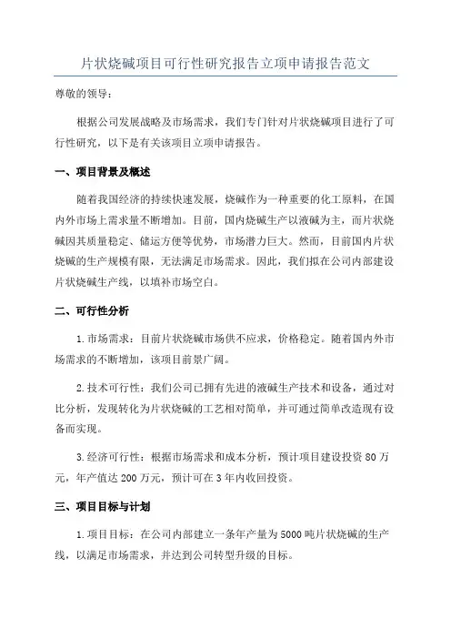 片状烧碱项目可行性研究报告立项申请报告范文