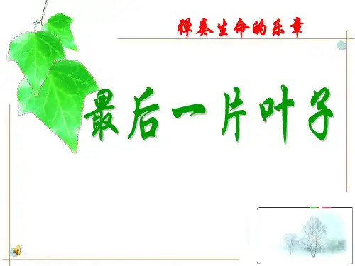 《最后一片叶子》PPT课件5