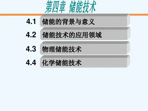 第4章 储能技术 PPT