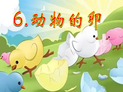四年级二单元第六课《动物的卵》
