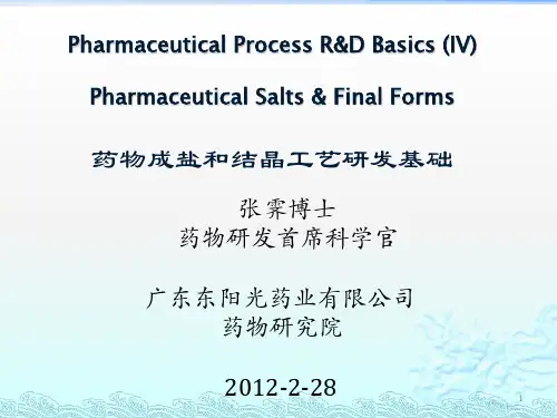 药物成盐和结晶工艺研发基础