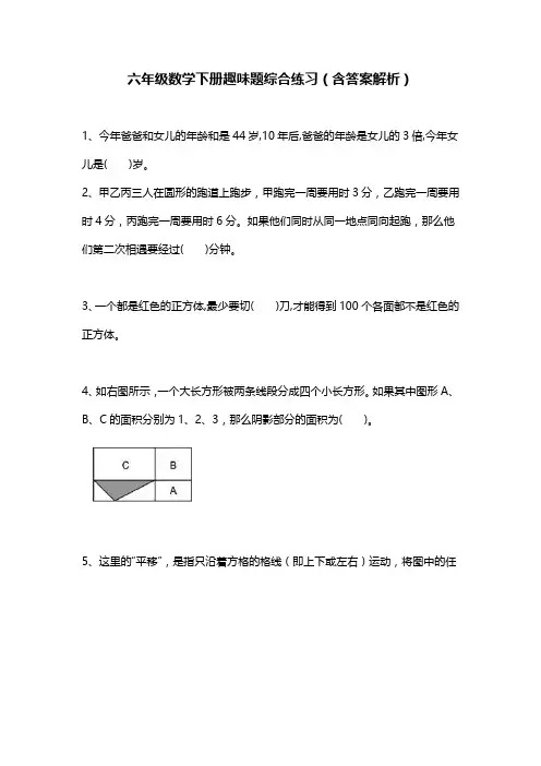六年级数学下册趣味题综合练习(含答案解析)