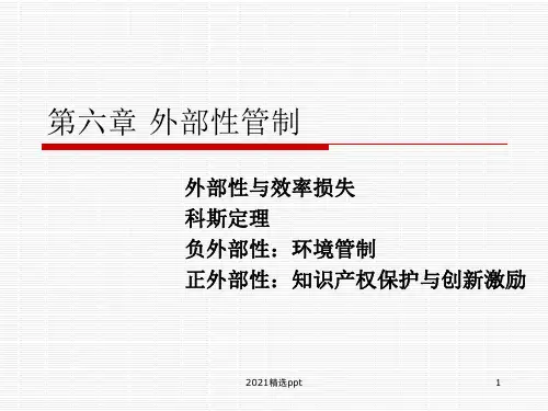 外部性管制ppt课件
