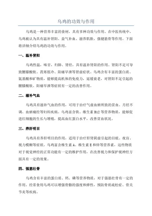 乌鸡的功效与作用