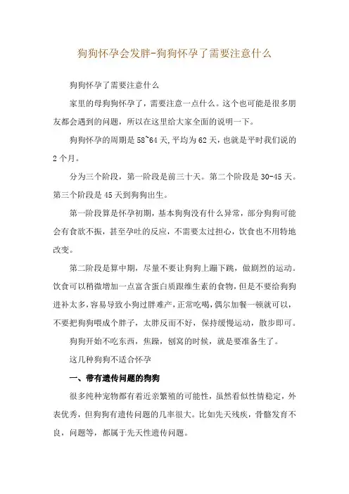 狗狗怀孕会发胖-狗狗怀孕了需要注意什么